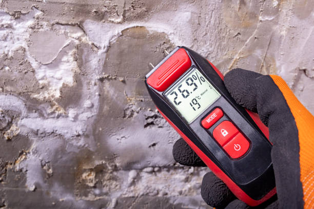 Best Mold Testing  in Bonney Lake, WA