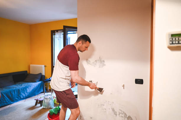 Best Fast Mold Removal  in Bonney Lake, WA